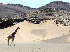 Tour en 4x4 – paysage du Damaraland – Namibie